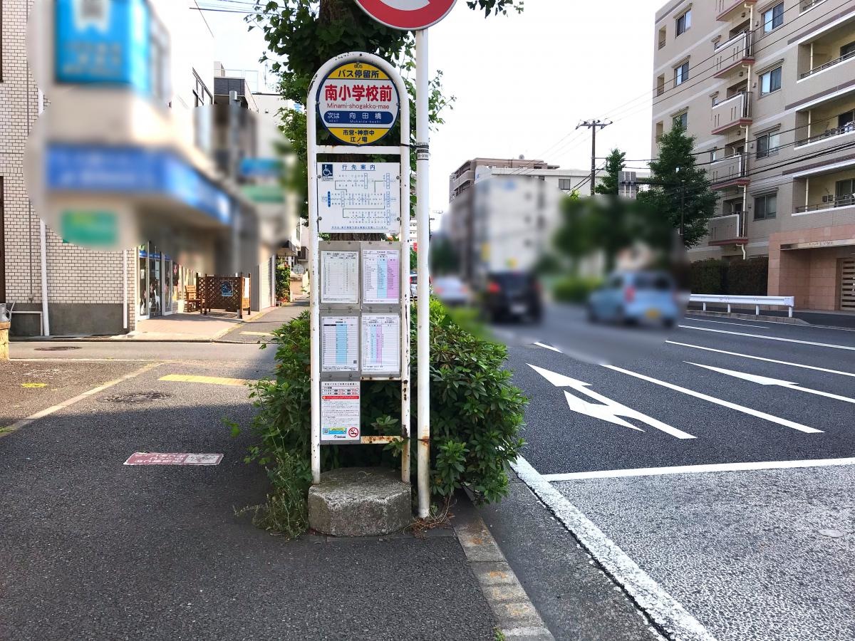 全体