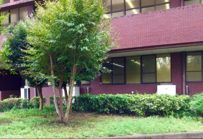 スポランド 栃木市総合運動公園体育館 栃木市川原田町