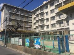 港保育園