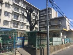 港保育園