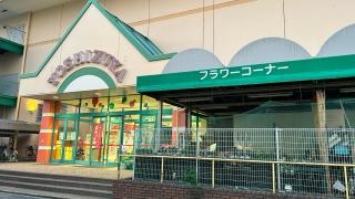イッツボナンザシティヨシヅヤ大平通り