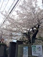 京都市立西院中学校