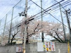京都市立西院中学校