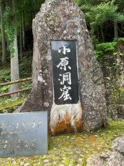 小原洞窟「恐竜ランド」