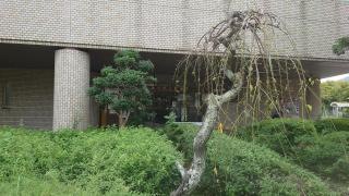 大竹市立図書館
