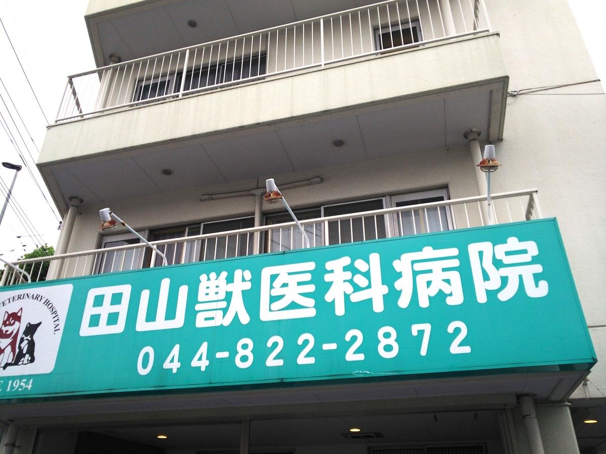 獣医科病院