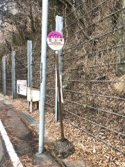 「豆ケ平」バス停留所