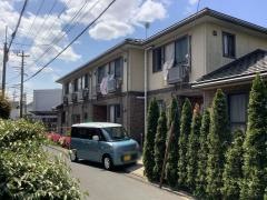 こぶしの花深大寺
