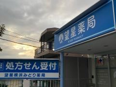 望星横浜みどり薬局