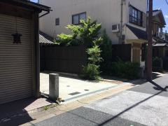 白