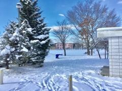 新琴似中央公園