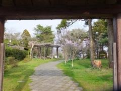泉町緑地