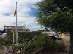 篠津小学校