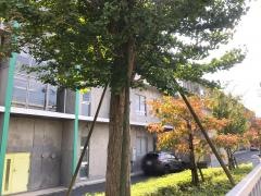 千葉市立　松ケ丘中学校