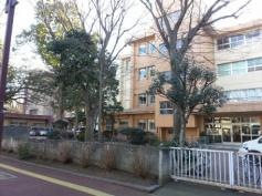 弥生小学校