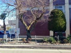 高島市立湖西中学校