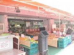 ニッコー波除店