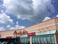 ザ・ダイソー　マルナカ平島店