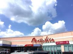 ザ・ダイソー　マルナカ平島店