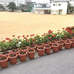 港川小学校