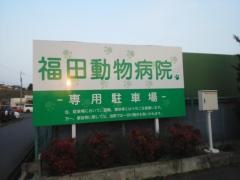 福田動物病院