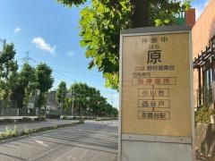 「原(横浜市)」バス停留所