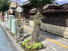 「荒町」バス停留所