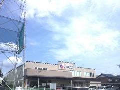 カネスエ　岐南店