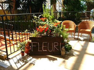 旅探 たびたん 花のミュージアムフローリィ 羽咋郡志賀町赤住