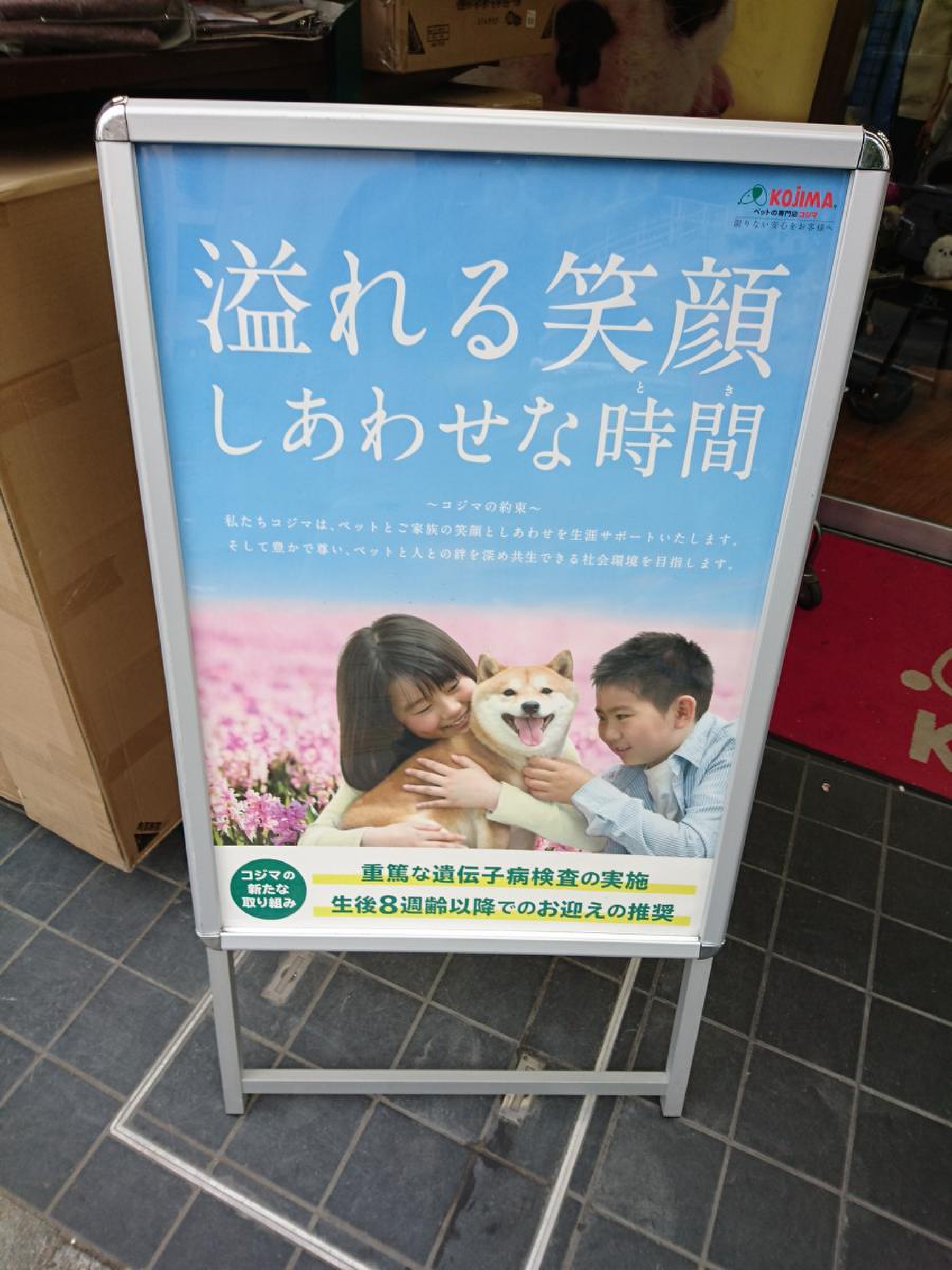 ペット の 専門 店 コジマ 板橋 店