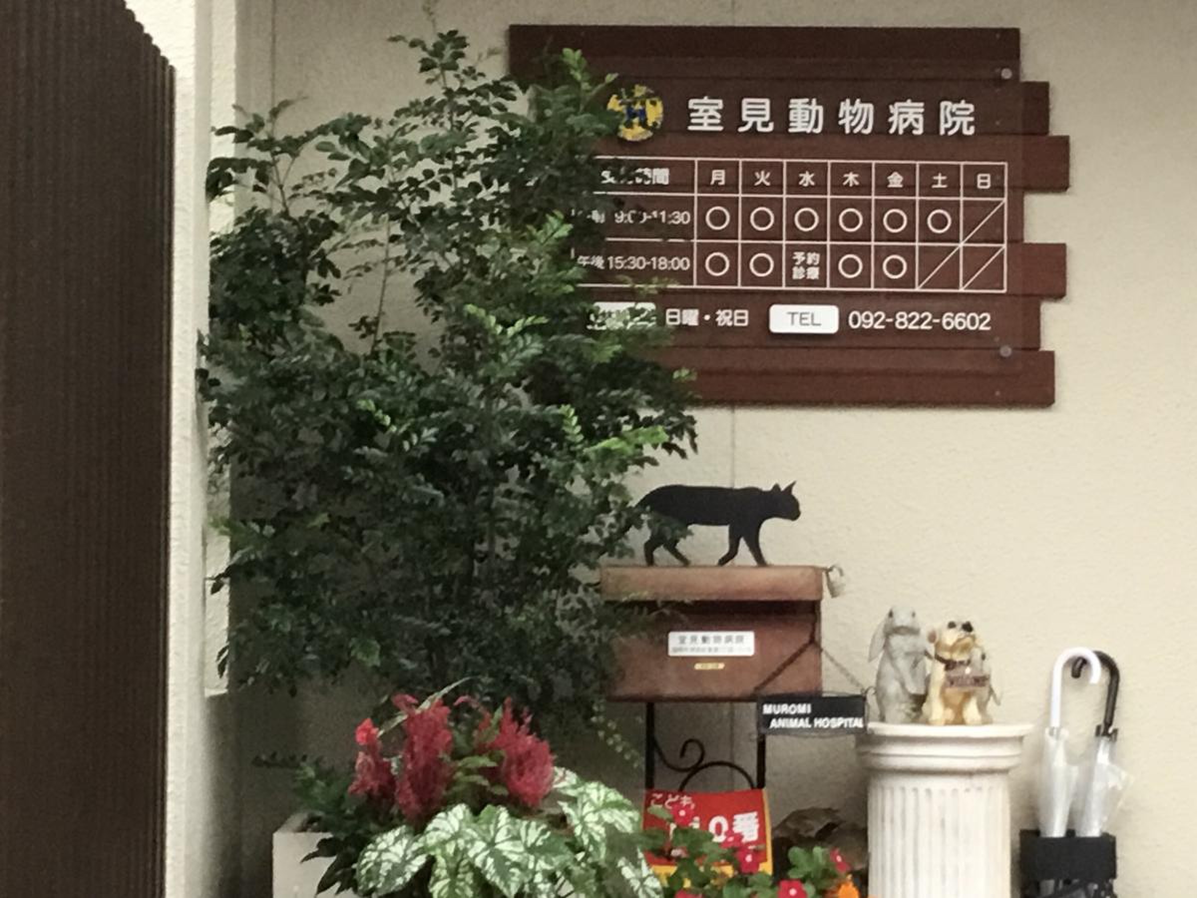 室 見 動物 病院