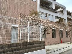梅の里