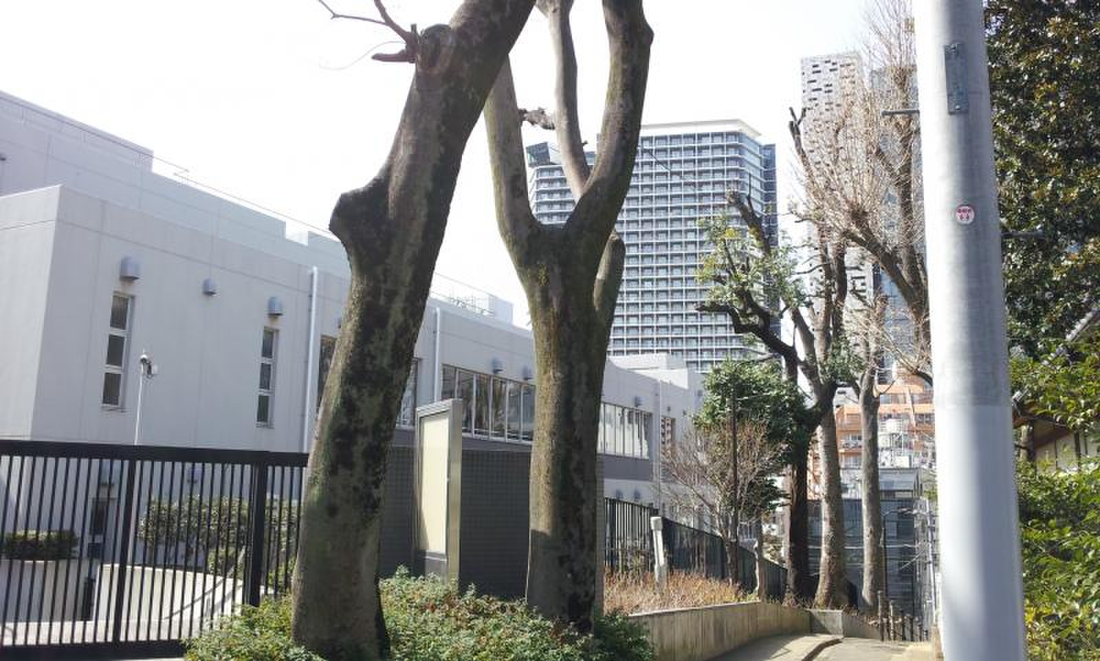 新宿 区立 新宿 中学校