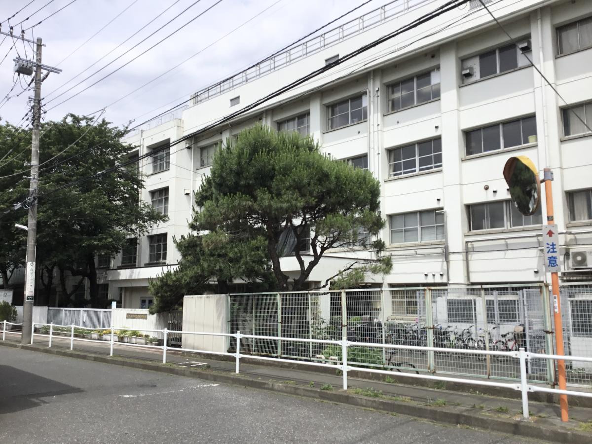 活動歴および当時の関連ビジュアル記録