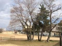 高砂市立荒井中学校