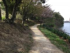 干隈中央公園
