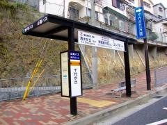 「千代が丘」バス停留所