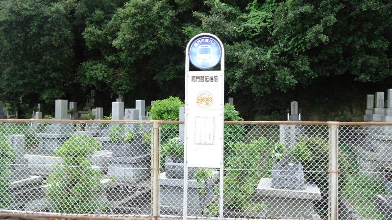 正面から撮影