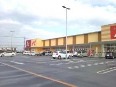 モリナガ　白石店