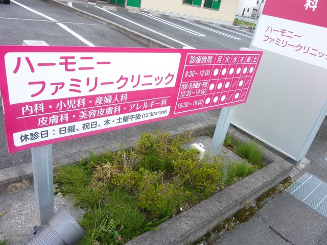 投稿写真4