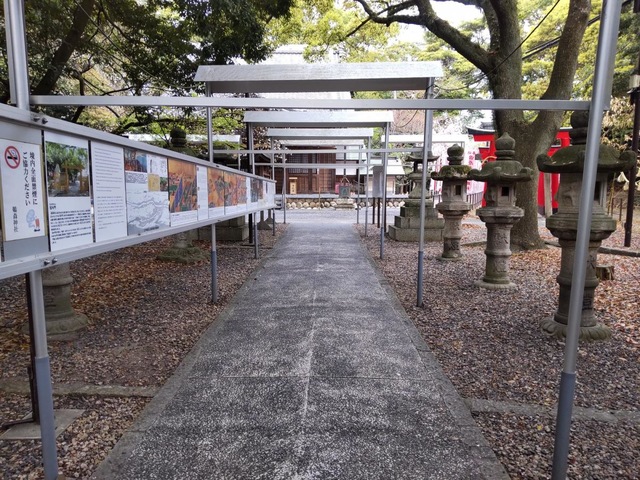 投稿写真7