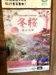桜山森林公園