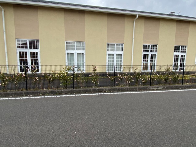 コクーン