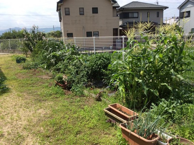サービス付き高齢者向け住宅シンシア ガーデニング