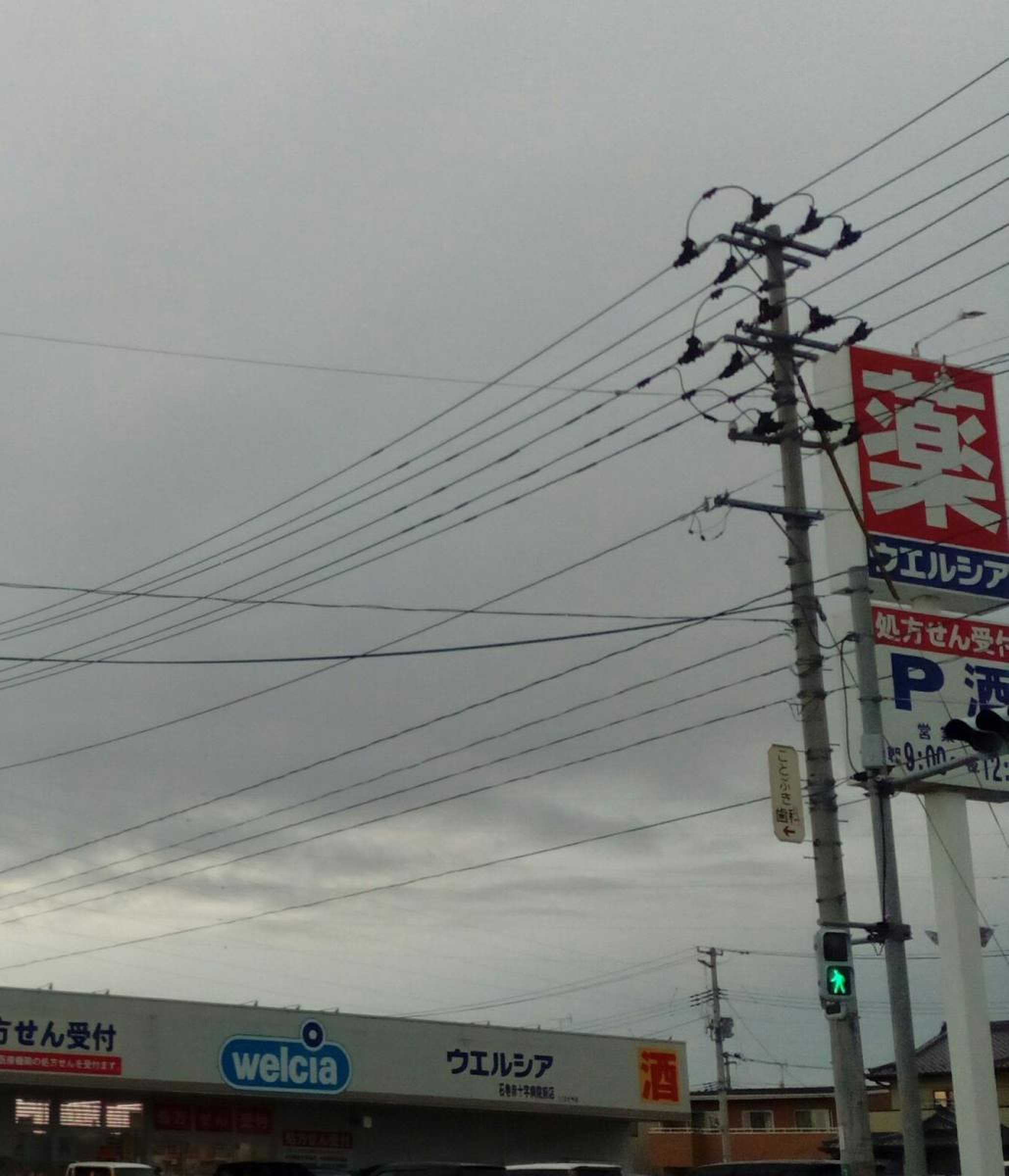 ウエルシア 石巻 赤十字 病院 前 店