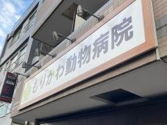 もりかわ動物病院