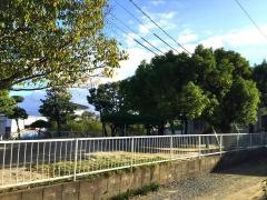 今津保育園