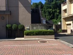 おおさわ耳鼻咽喉科