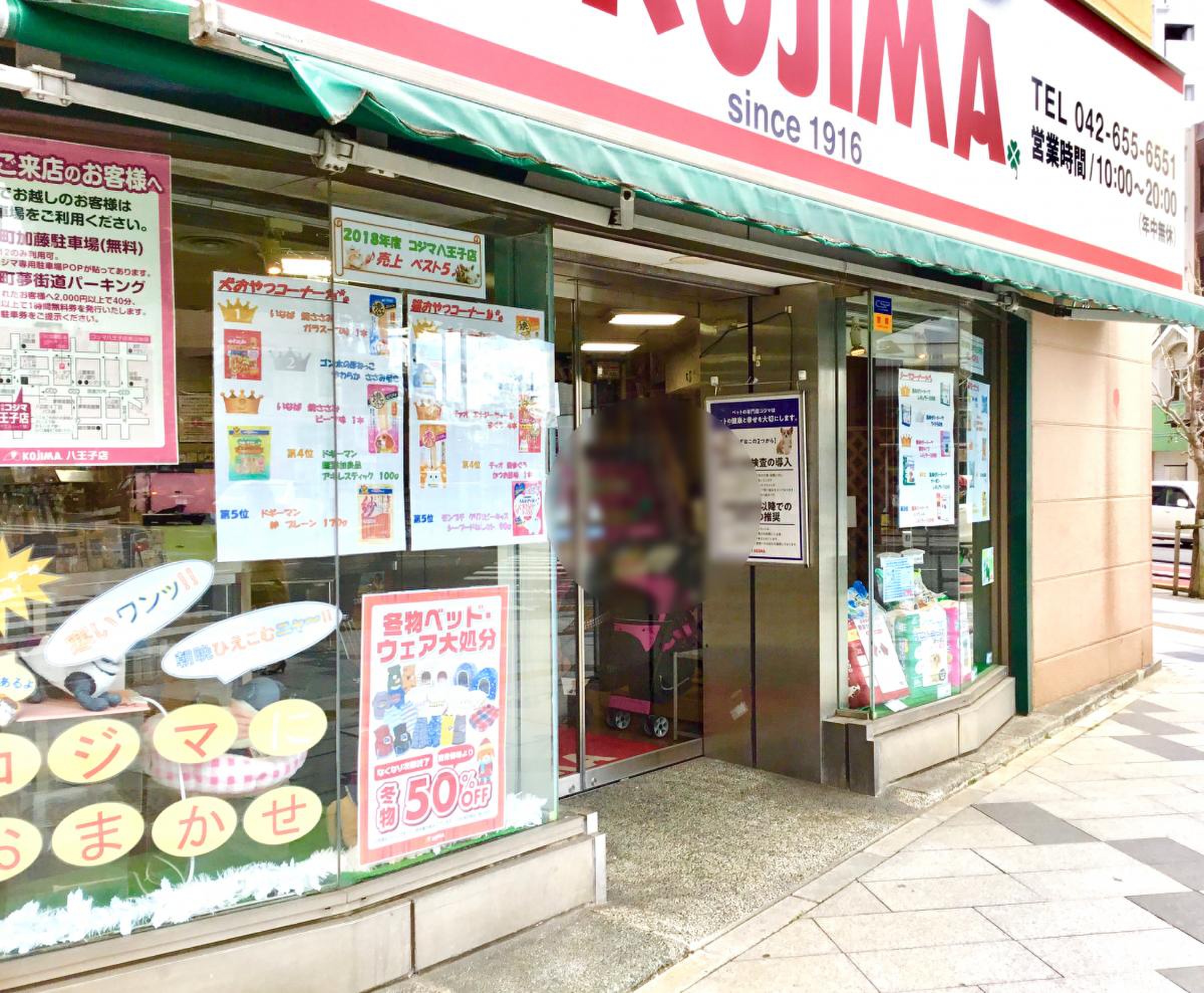 コジマ 動物 病院 八王子