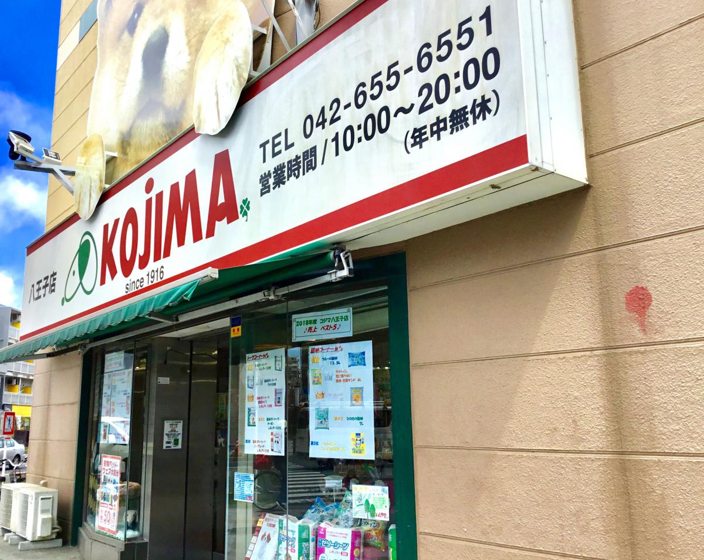 コジマ 動物 病院 八王子
